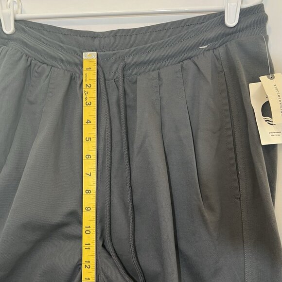 Anthropologie Daily Practice Pants Size Large Gray Pull On Pleated Women NWT - Picture 9 of 14